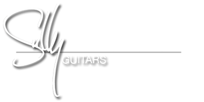 logo Sully Guitars